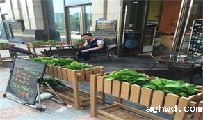 阿尔福——寿司店